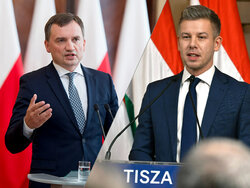 Miniatura: Ziobro w USA. Gociek, Gmyz: Mamy...