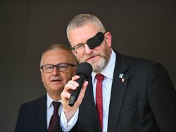 Miniatura: Gociek, Gmyz: Niebawem światło dzienne...