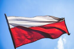 Miniatura: Polska krew w czeski piach