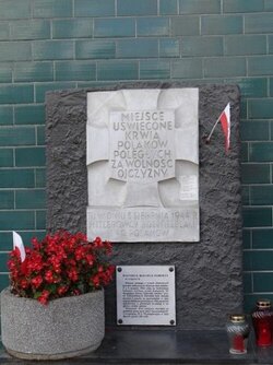 Miniatura: Zgwałcona Ochota