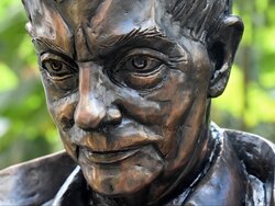Miniatura: Herbert na drzewo