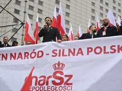 Miniatura: Młodzi wykształceni i z wielkich ośrodków...