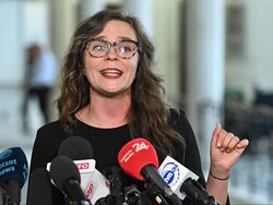 Miniatura: Pasać gąski