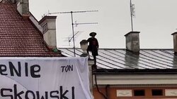 Miniatura: Zorro, czyli tęsknota