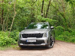 Miniatura: Test "Do Rzeczy": Kia Sorento