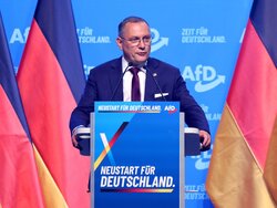 Miniatura: Polska prawica patrzy na AfD