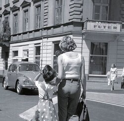 Miniatura: Kobieta i życie