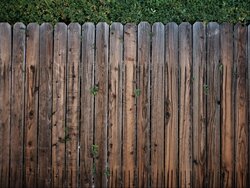 Miniatura: Wedle płota