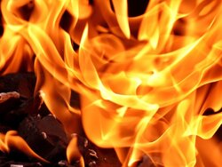 Miniatura: Ogniem w karalucha