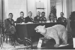 Miniatura: Biała niedźwiedzica i czerwoni