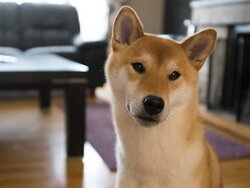 Miniatura: Młodzi wykształceni i z wielkich ośrodków