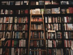 Miniatura: Zwyczajny faszyzm