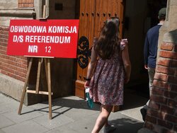 Miniatura: Młodzi wykształceni i z wielkich ośrodków