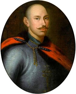 Miniatura: Potocki broni granic