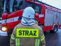 Miniatura: Fałszywy alarm