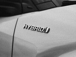 Miniatura: Szturm chińskich marek nad Wisłą