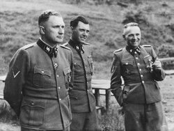Miniatura: Doktor Josef Mengele pozdrawia...
