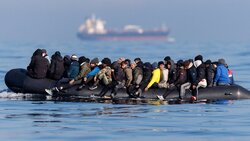 Miniatura: Upaństwowiona pula genów