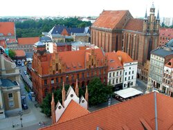 Miniatura: Sprawa toruńska i presja na RP