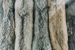 Miniatura: Szacunek dla przyrody