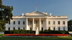 Miniatura: Czarny łabędź w Białym Domu