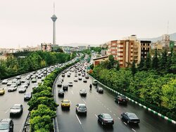 Miniatura: Lew, który zmienił się w kota