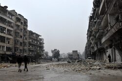 Sępy nad Syrią