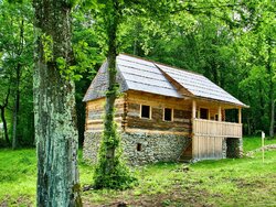 Miniatura: Męki neowieśniaków