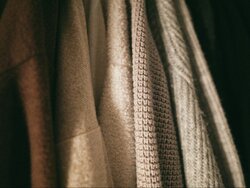 Miniatura: Inteligencja wełny