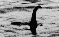 Miniatura: Polowanie na Nessie