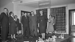 Miniatura: Wanda od dizajnu