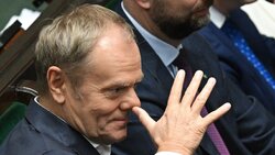 Miniatura: Nos czekający na gumce