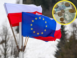 Miniatura: Młodzi wykształceni i z wielkich ośrodków