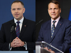 Miniatura: Gociek, Gmyz: Skończył się konflikt o...