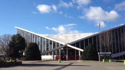 Miniatura: Nowiccy – siła talentu kontra fatalizm...