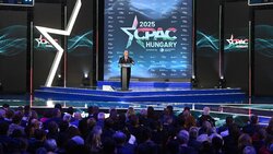 Miniatura: Pragmatyzm nad Dunajem