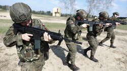 Miniatura: Obrona cywilna alla polacca