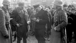 Miniatura: Granatowa policja