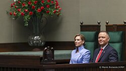 Miniatura: Gociek, Gmyz: Make Polska Great Again
