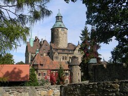 Miniatura: Zamkołaz z miejskiej biblioteki