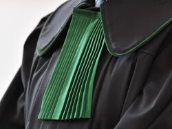 Miniatura: Kataryniarze i prawnicy