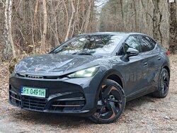 Miniatura: Cupra Tavascan Endurance