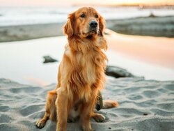 Miniatura: KROPiK, czyli jak wylać dziecko z kąpielą